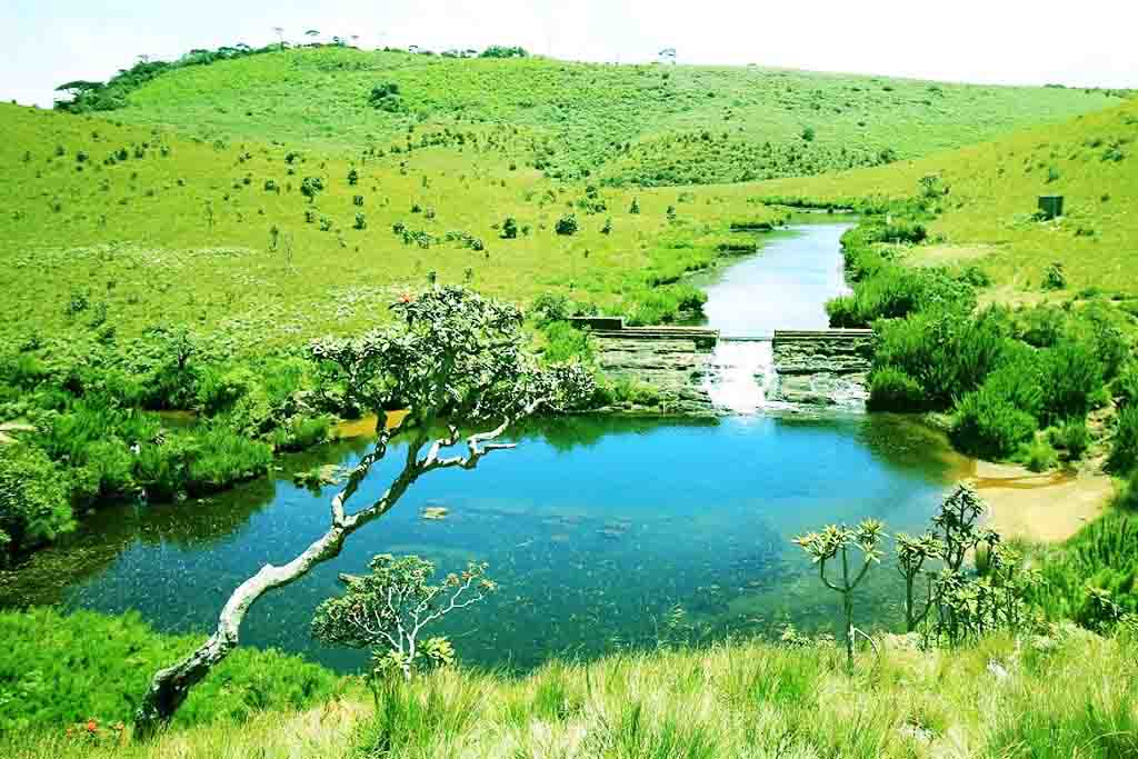 horton plains -Srilanka